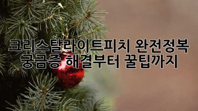 크리스탈라이트피치🍑 완전정복! 궁금증 해결부터 꿀팁까지!